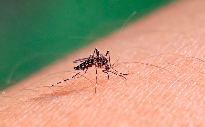 Dengue: Ya son más de 7.800 los casos confirmados en la Provincia