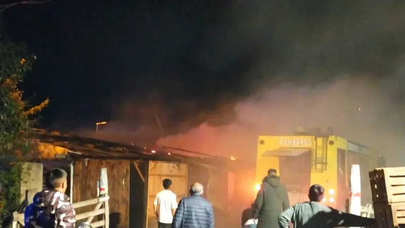 Un incendio en La Plata destruyó tres casillas de madera